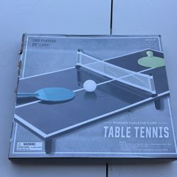 Ping Pong Shuffle Board 