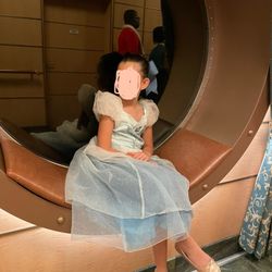 Kids Costume: Cinderella Deluxe Dress 