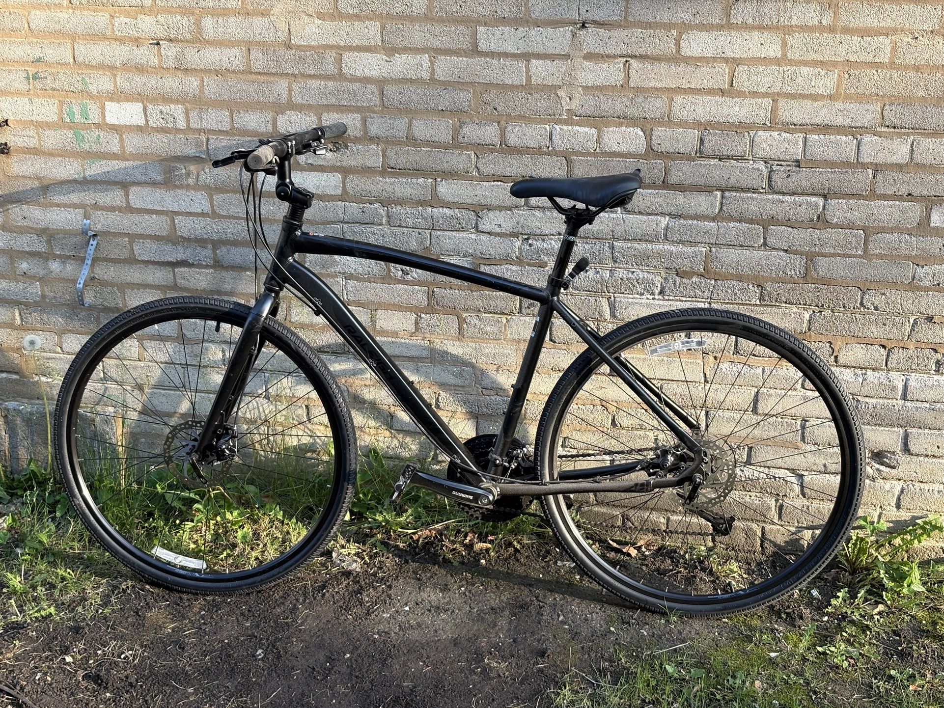 Raleigh Road Bike