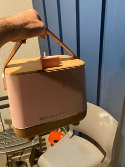 Frigidaire lunchbox 35$