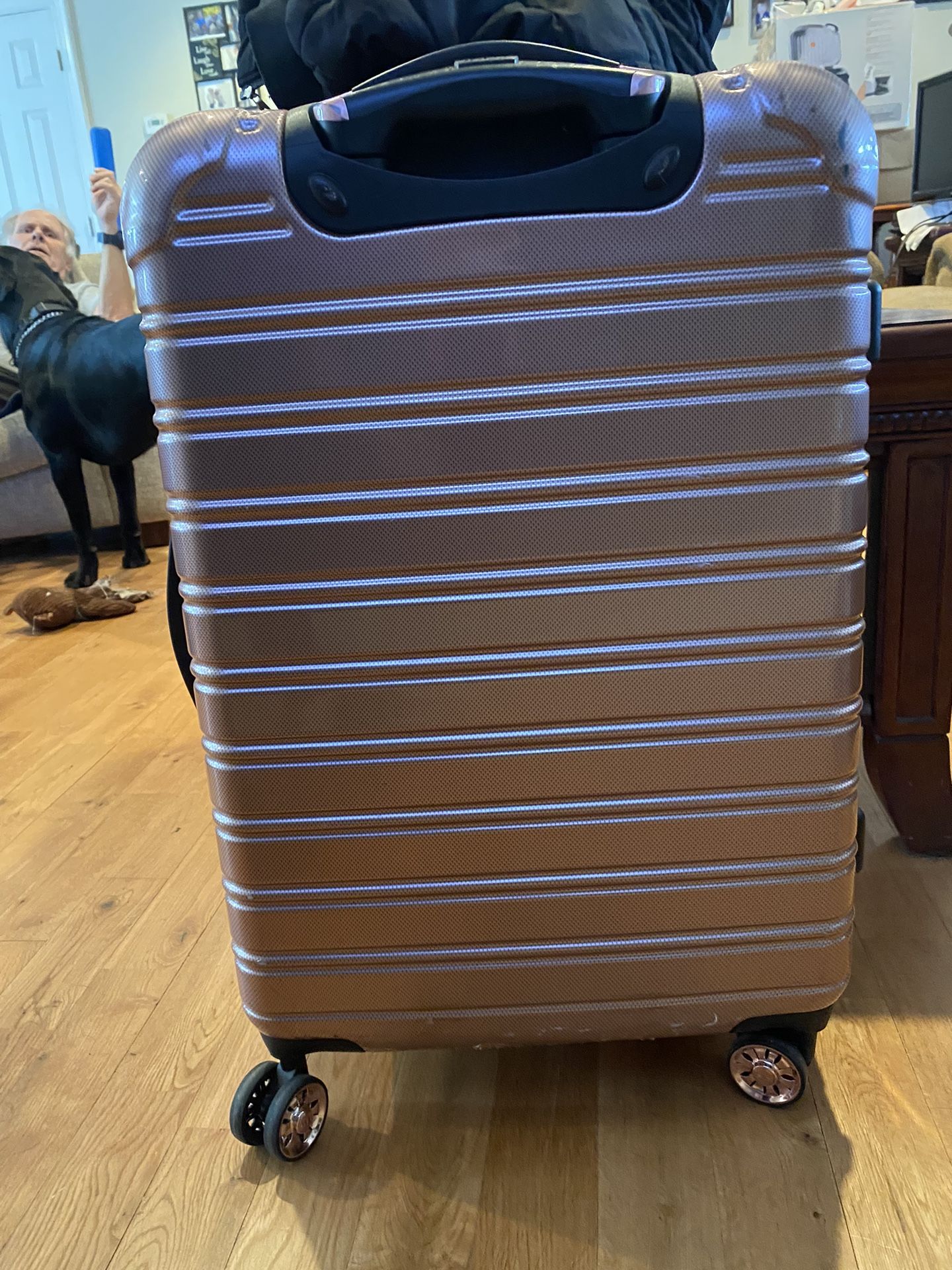 I Fly Hard Luggage.