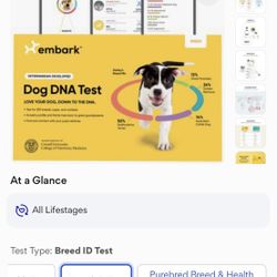 Dog DNA Test 