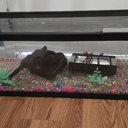 For Reptile Or Fish Good Condition And Brand New Filter