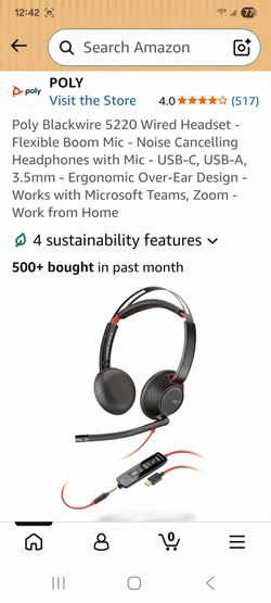 Headset/ Headphones