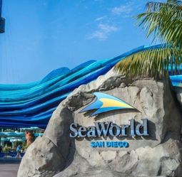 4 Sea World  E ticket $40 each