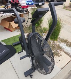Rogue echo air bike