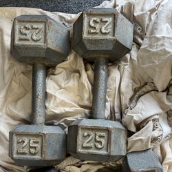 pair 25 lb dumbell weights