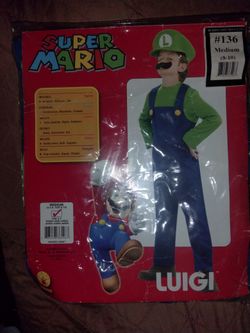Halloween Costume Luigi