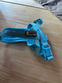 Puppy Harness and Puppy Carrier