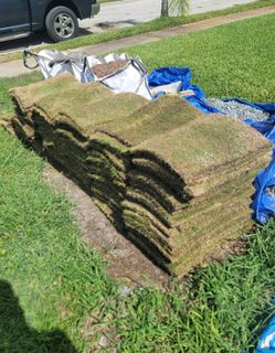 Zeon Zoysia Sod - Around 400 Sq Ft 