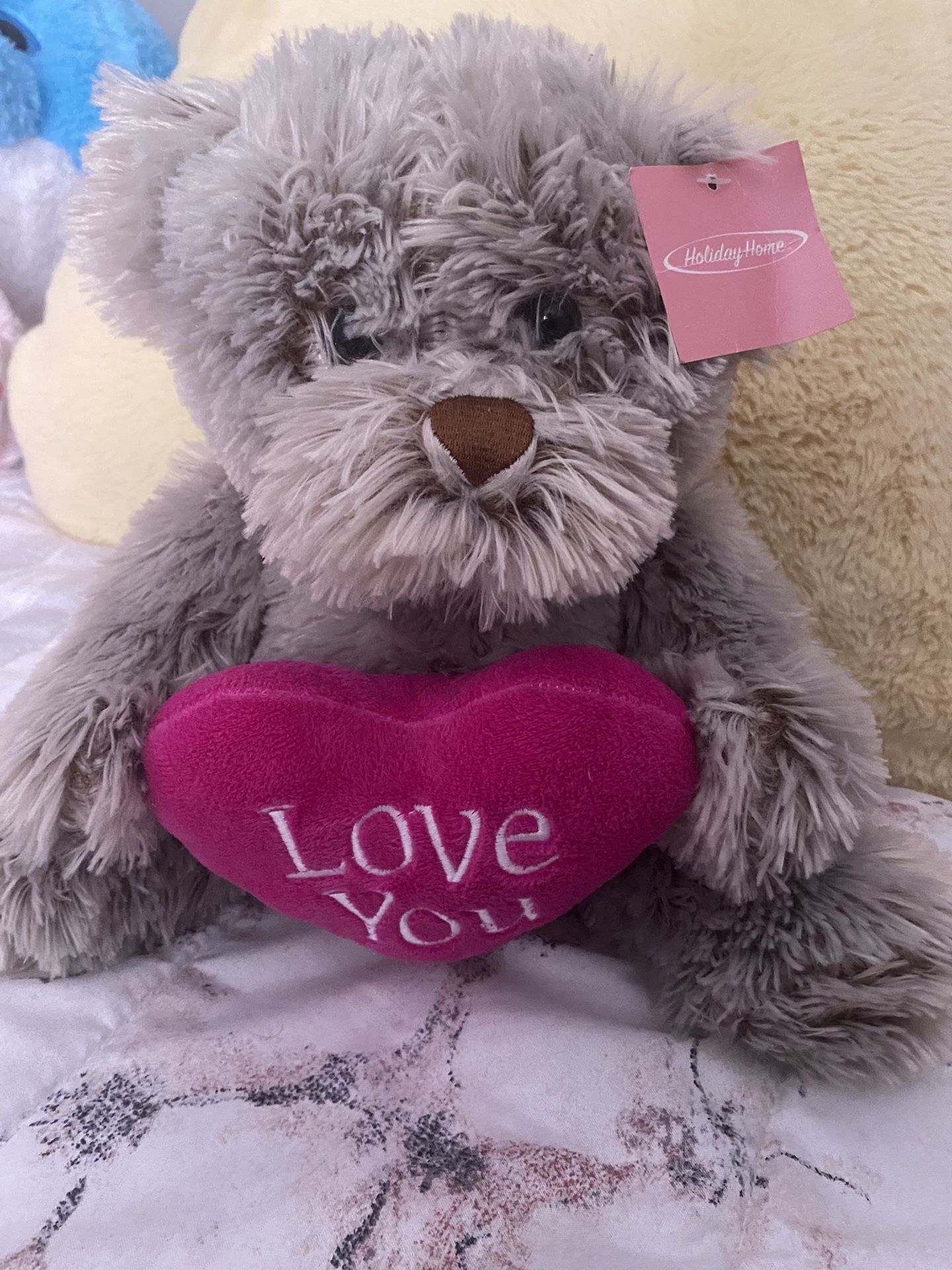 Valentine Teddy Bear