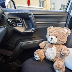 Little Bear Toy 35cm