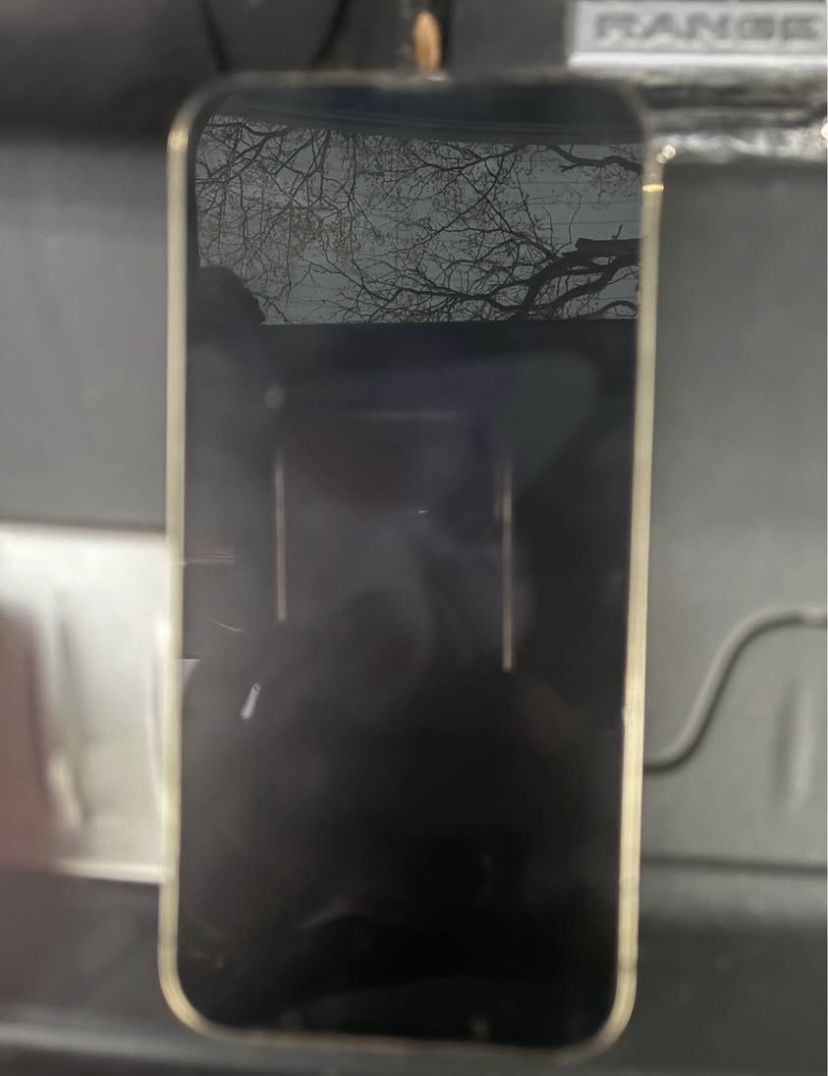 iPhone 13 Pro Max Unlocked