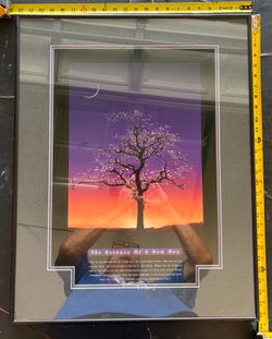 Successories - 22X28 frame - The Essence of a New Day
