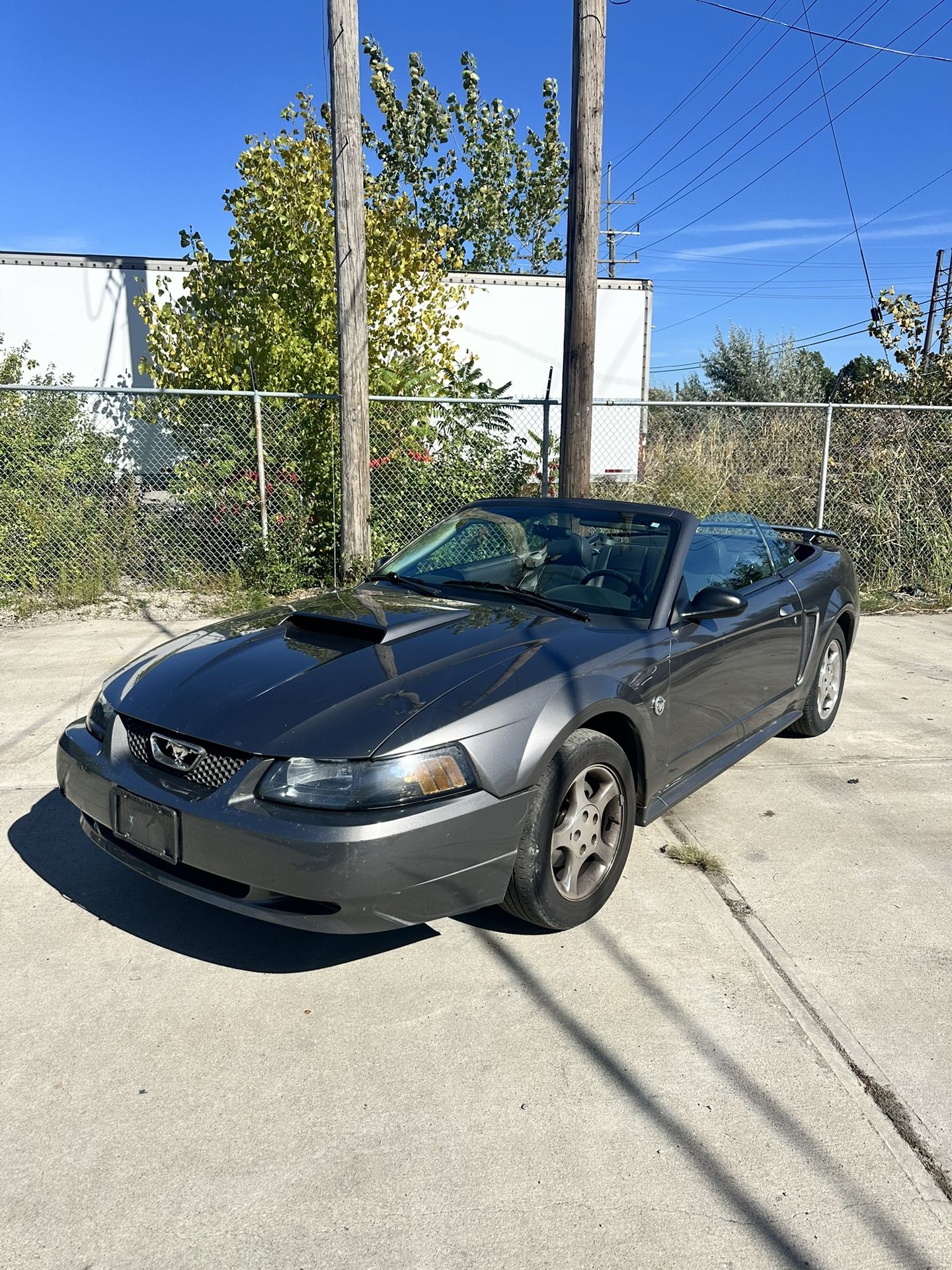 2004 Ford Mustang