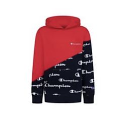 Boys Champion Fleece Hoodie 