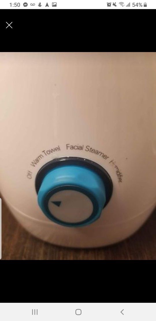 Facial Steamer
