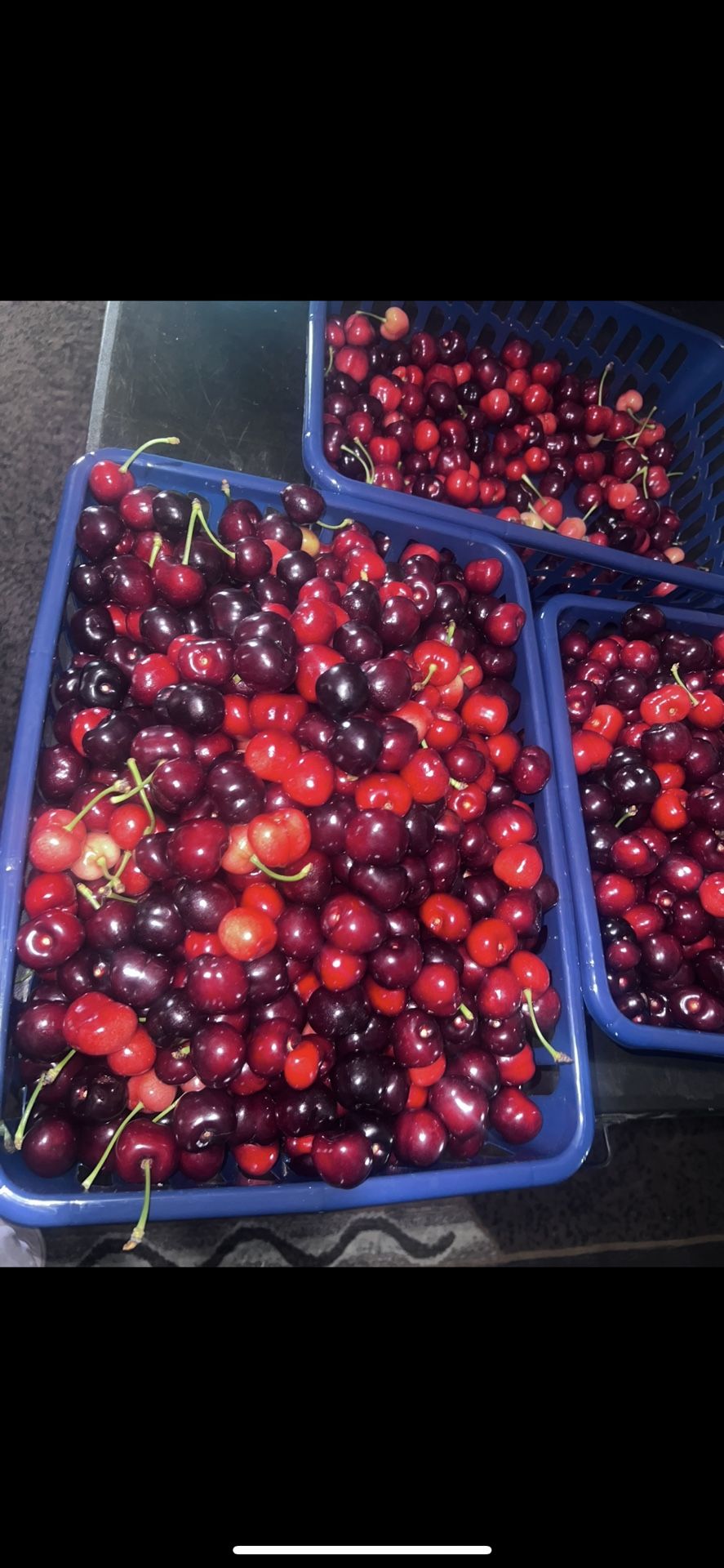 Juicy Cherriesπππππ