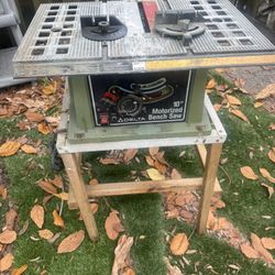 Delta Motorized (plug) Bench Saw. 
