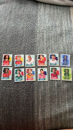 Panini stickers
