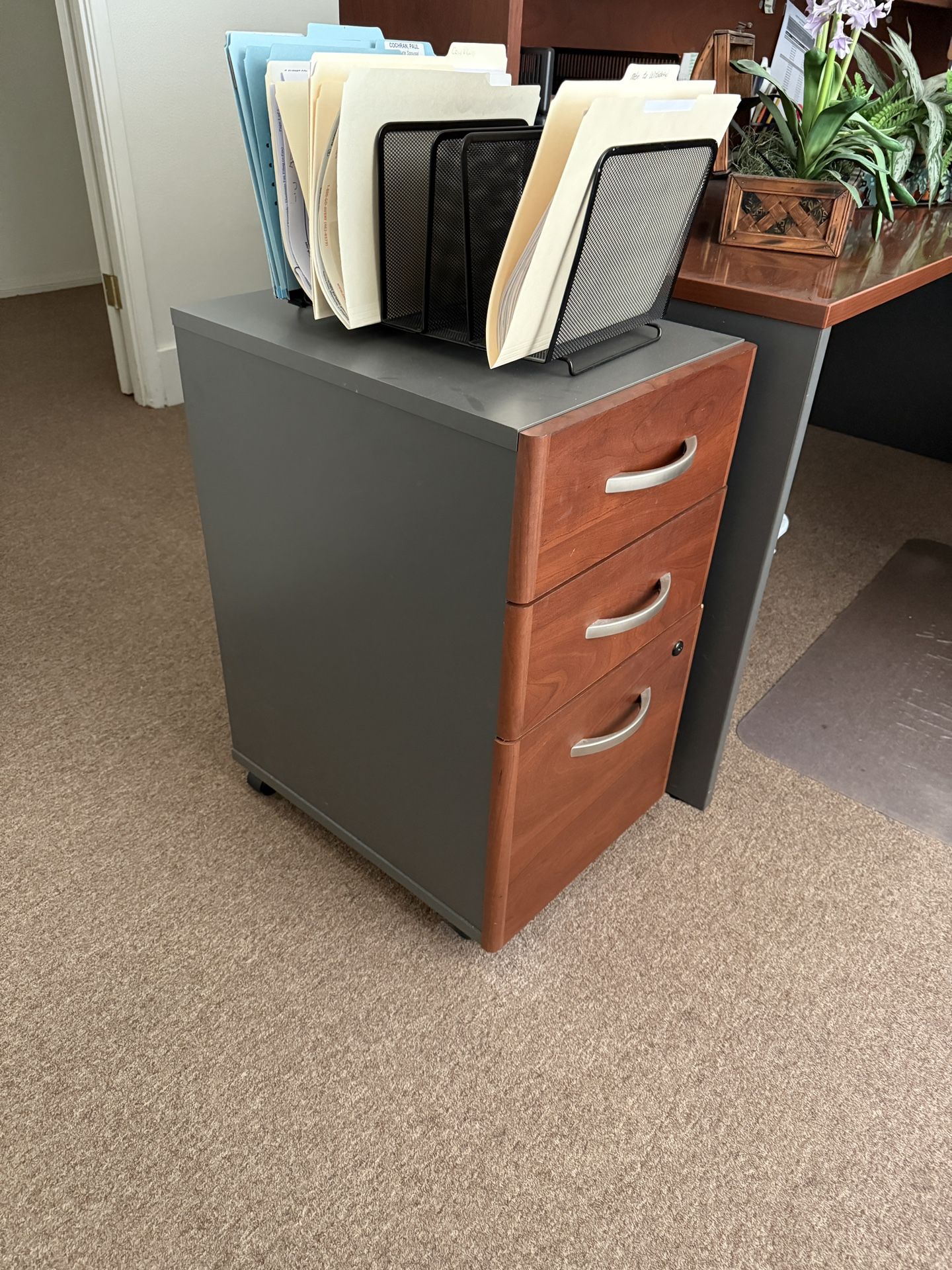 Filing Cabinet - FREE