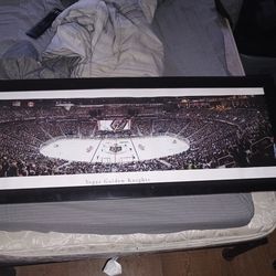 Golden Knights framed pamaramic