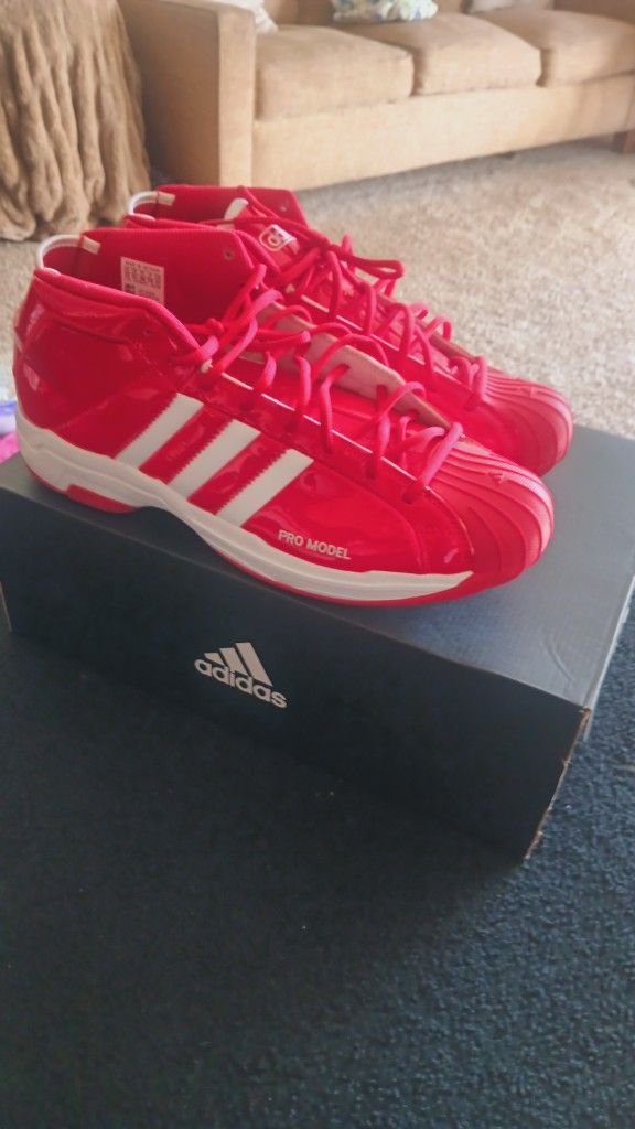 Size 13 Men Adidas Shoes