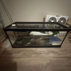 Reptile home