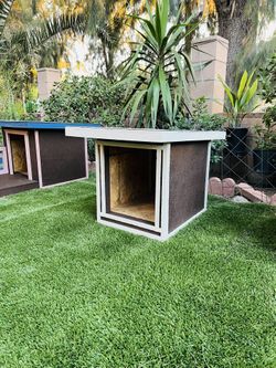 Dog House