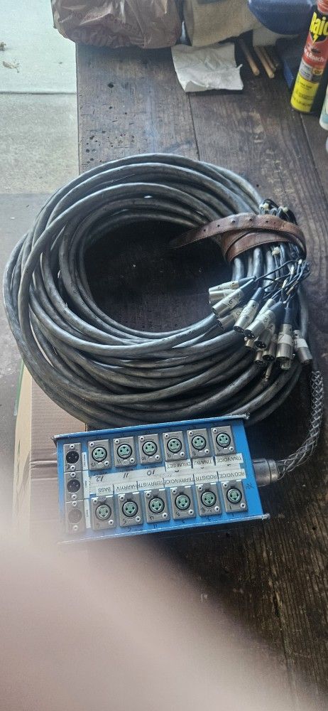 100' 12 Ch Audio Snake. 