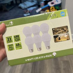 6 Led Bulbs