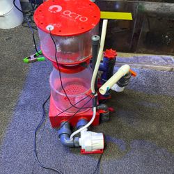 Protein Skimmer Saltwater Aquarium