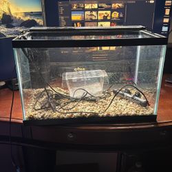 10 Galling Aquarium 
