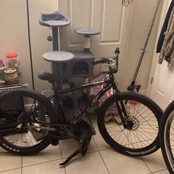 Collective C2 And Hd Big Flyer 