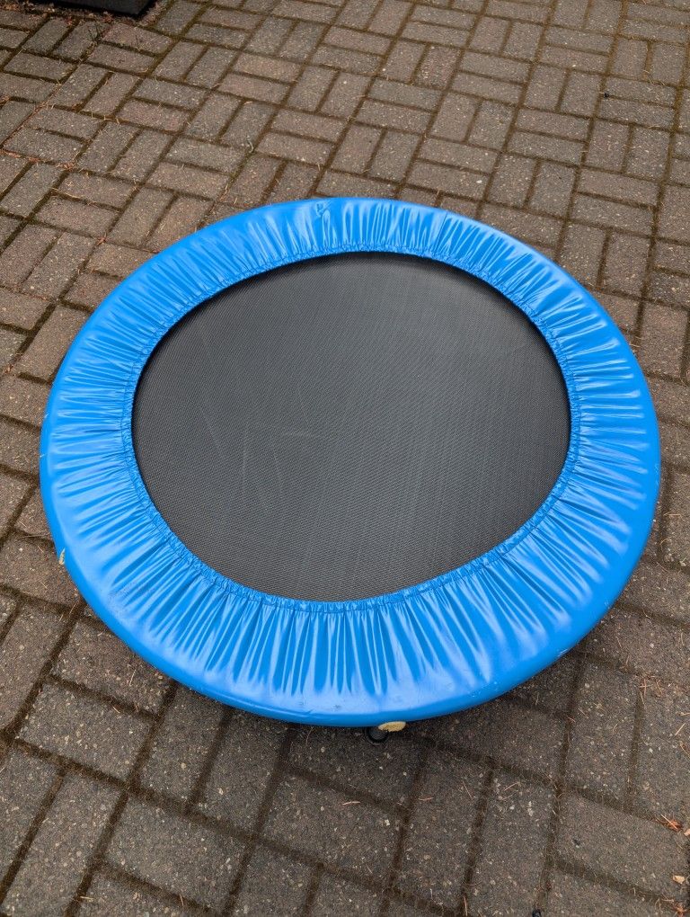 Mini Trampoline