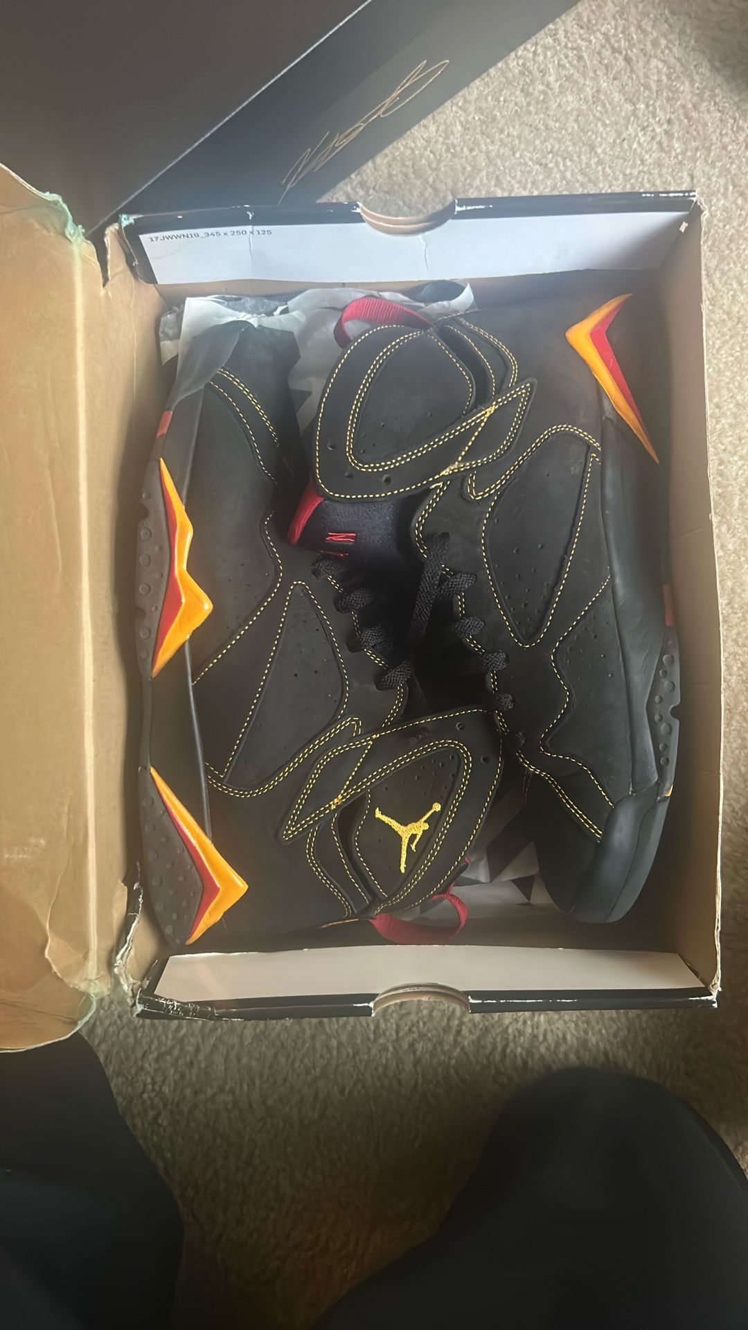 Jordan 7
