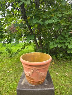 Flower Pot