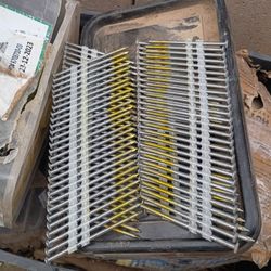 Framing Nails