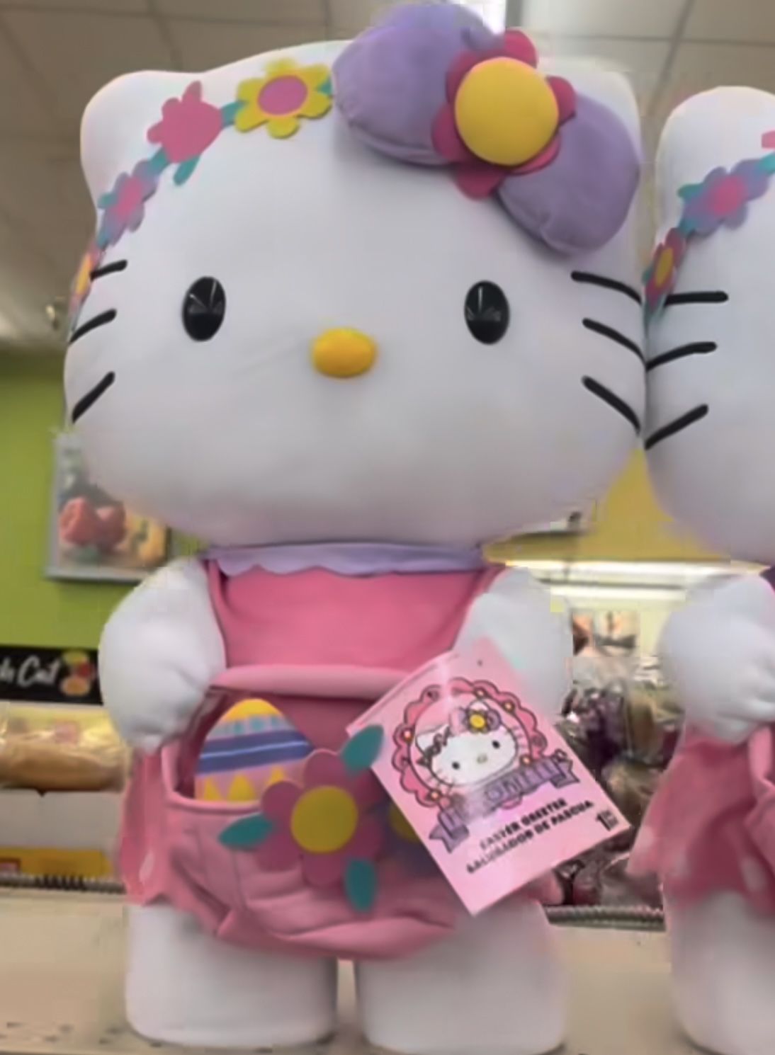 Hello Kitty Greeter 2025