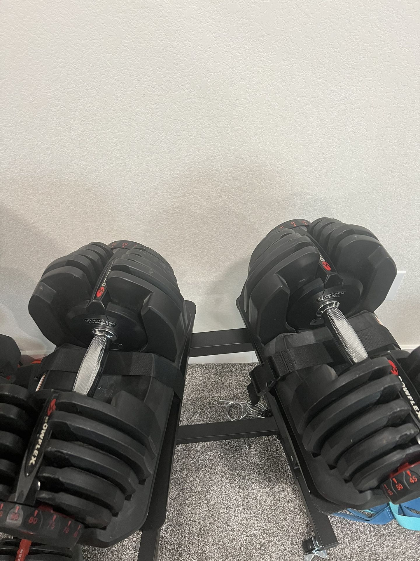 Bowflex 1090 Dumbbells
