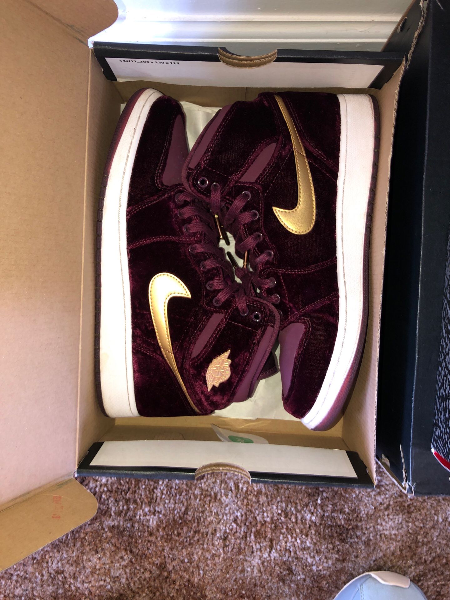 Air Jordan 1 Hierres Night