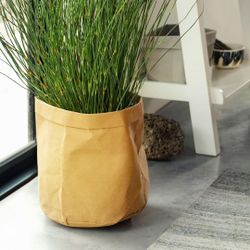 EQ3 Paper Planter