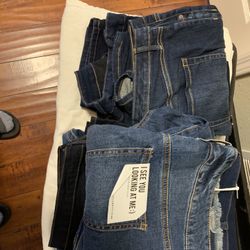 Jeans For Plus Size Queens 
