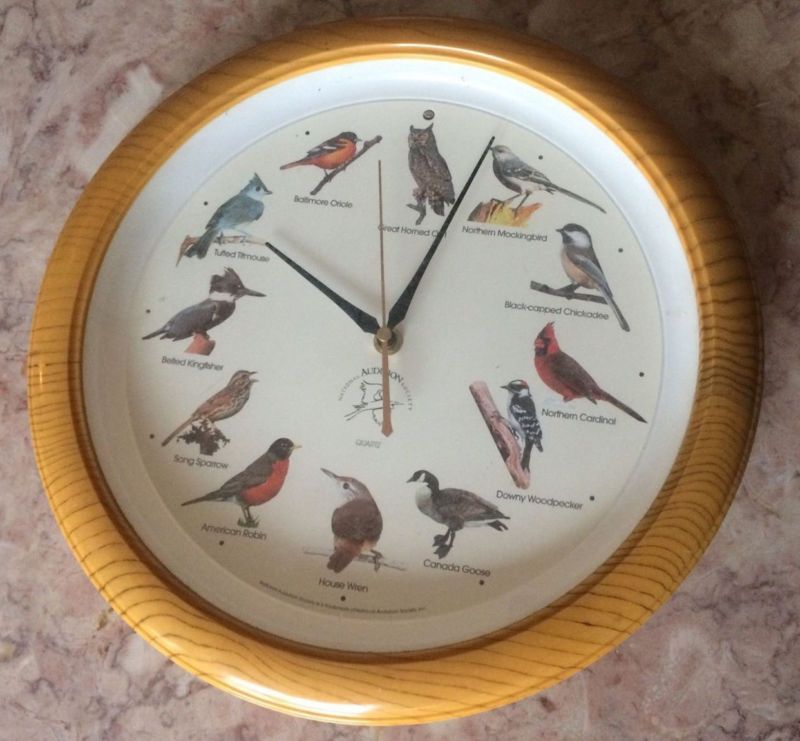 **13" National Audubon Society Singing Bird Wall Clock 12 Birds Sensor Chirps Song**