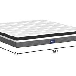 Queen Mattress 