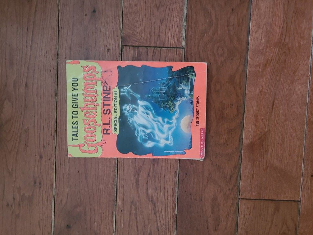 Special Edition Ten Spooky Stories Goosebumps Book