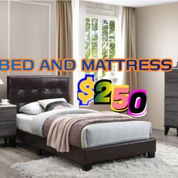 Twin Size Bed And Mattress 