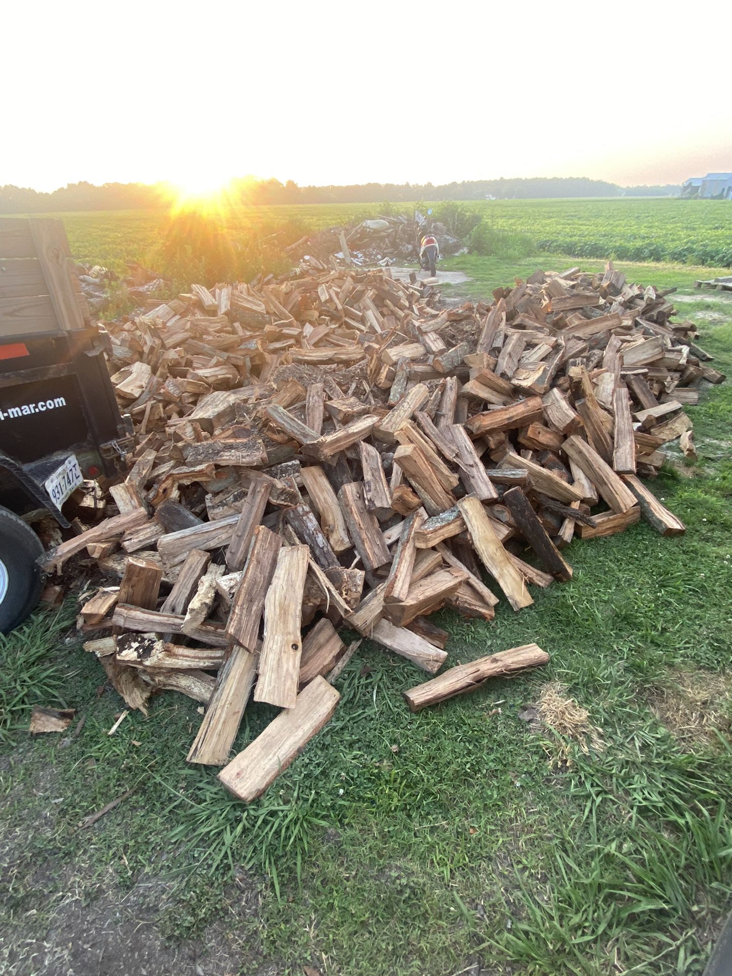 Oak Firewood