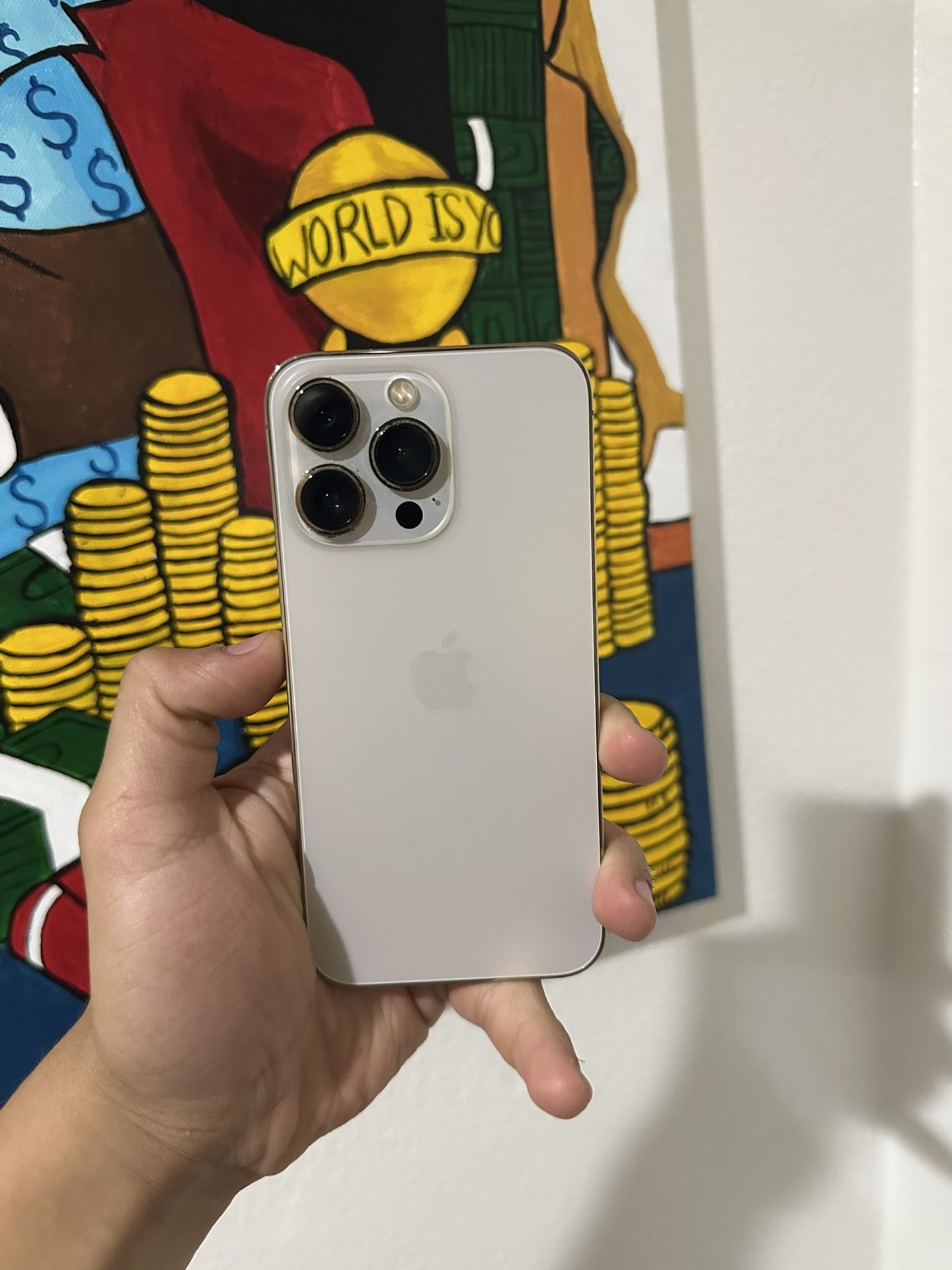 iPhone 13 Pro 1TB Unlocked