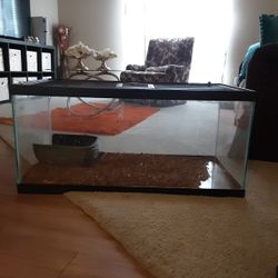 Aquarium I Think It's 75gal